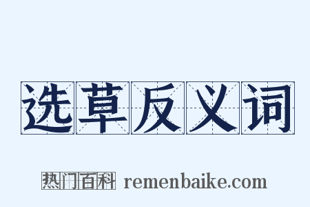 选草反义词是什么意思的图片